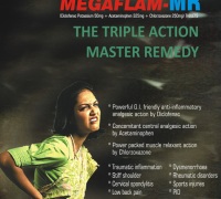 1_MEGAFLAM-MR